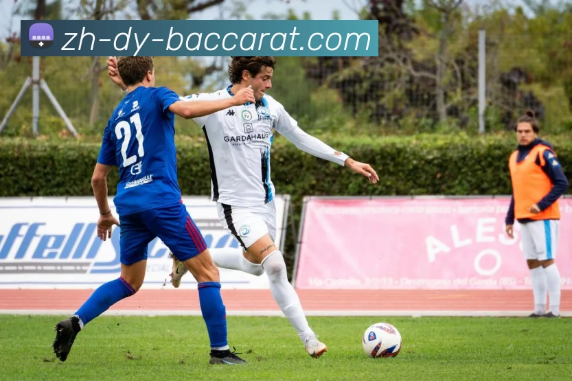 百家乐官网发展历程