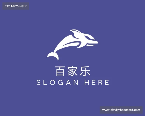 介绍百家乐